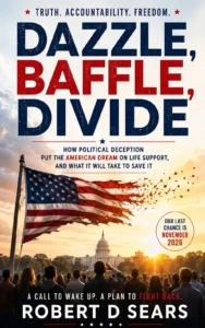 Dazzle, Baffle, Divide — book cover